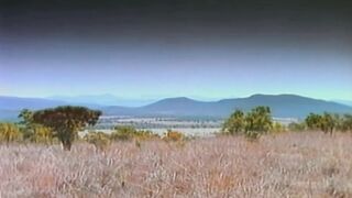 Afrika - Magyar szinkronos teljes vhs erotikus film