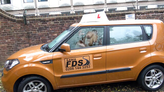 Fake Driving School - Louise Lee szereti a méretes pélót