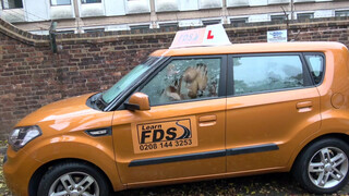 Fake Driving School csöcsö piercinges gót kiscsaj popóba kéri