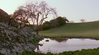 The Ribald Tales Of Canterbury (1985) - Teljes xxx film